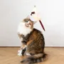 Decorative objects - Natural Woolen Cat Toy: Mouse - MELLOW CONCEPT STORE