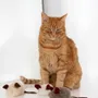 Decorative objects - Natural Woolen Cat Toy: Mouse - MELLOW CONCEPT STORE