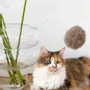 Decorative objects - Natural Woolen Cat Toy: Ball - MELLOW CONCEPT STORE