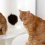 Decorative objects - Natural Sheepskin Cat Toy: Ball - MELLOW CONCEPT STORE