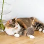 Decorative objects - Natural Sheepskin Cat Toy: Ball - MELLOW CONCEPT STORE