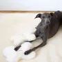 Decorative objects - Natural Sheepskin Dog Toy: Bone - Beige - MELLOW CONCEPT STORE