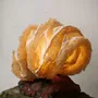 Table lamps - Coral Table lamp handmade by natural fiber and primitive pottery - SREPOKK