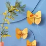 Other wall decoration - Butterflies & Beetles - STUDIO ROOF