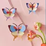 Other wall decoration - Butterflies & Beetles - STUDIO ROOF