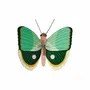 Other wall decoration - Butterflies & Beetles - STUDIO ROOF