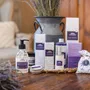 Savons - Savon Carré 100 g FLEUR DE LAVANDE - SANS PALME - LE CHATELARD 1802