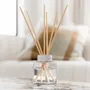 Diffuseurs de parfums - Diffuseur d'ambiance parfumé Naturals - THE AROMATHERAPY CO.