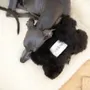 Objets de décoration - Jouet pour Chien en Peau de Mouton Naturelle : Os – Noir - MELLOW CONCEPT STORE