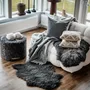 Couettes et oreillers - Confort scandinave pour chaque intérieur - SHEPHERD OF SWEDEN