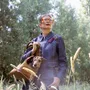 Pet accessories - Pet accessories - MY BOB, USE YOUR HEAD!