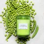 Gifts - Prince Pea Pea Scented Vegetable Candle - MAISON CHANDELIER