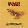 Brooches - Pin T-Rex - PINPINPIN.IT