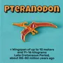Brooches - Pin Pteranodon - PINPINPIN.IT