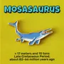 Brooches - Pin Mosasaurus - PINPINPIN.IT