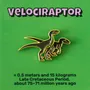 Brooches - Pin Velociraptor - PINPINPIN.IT