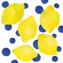 Decorative objects - Lemons, Melons and Ice - PPD PAPERPRODUCTS DESIGN GMBH
