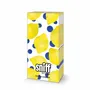 Decorative objects - Lemons, Melons and Ice - PPD PAPERPRODUCTS DESIGN GMBH