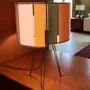 Blinds - MULTICOLORED SHELL LAMP - ZARALOBO