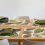 Sets de table - Set de table imprimés, en collaboration avec Martha Stewart - CHILEWICH