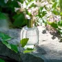 Scent diffusers - SECRET GARDEN - AMELIE ET MELANIE