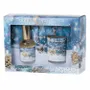Scent diffusers - SNOWY PINECONE - LOTHANTIQUE