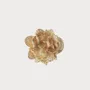 Jewelry - CLAP ROSE DES SABLES Gold brooch jewelry - CLAP PARIS