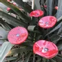 Floral decoration - Small Glass Flower For Outside In Red-Black - CARNEOL GLASS