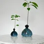 Vases - Avocado Vase and Acorn Vase NEW JAY BLUE color - ILEX STUDIO