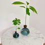 Vases - Avocado Vase and Acorn Vase NEW JAY BLUE color - ILEX STUDIO