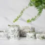 Candles - Among the Willows 40 - KOTT