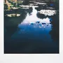 Objets de décoration - François Halard : Art et fleurs - NEW MAGS