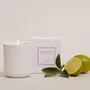 Candles - PURE NATURE - CERAS ROURA S.A.