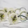 Home fragrances - Green Quartet - KOTT