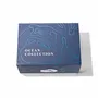 Spas - Sculpture en porcelaine – Requin Marteau Bleu - OCEANSTORE DESIGN