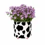 Vases - PLANT POT - FISURA