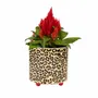 Vases - PLANT POT - FISURA