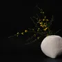 Vases - [AAROC] Pelong Moon Jar Vase Cover - SEOUL DESIGN FOUNDATION