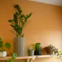Vases - Vase VASEAS et VASEO - BOUTURES D'OBJETS