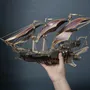 Cadeaux - Future Corsair Ship - Purple - VCL CORP