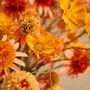 Floral decoration - Artificial Rudbeckia mix - SILK-KA BV