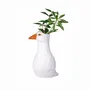 Floral decoration - Pond Life - SASS & BELLE
