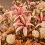 Floral decoration - Pastel artificial flower mix - SILK-KA BV