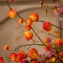Floral decoration - Radiant artificial autumnal flowers - SILK-KA BV