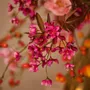 Floral decoration - Radiant artificial autumnal flowers - SILK-KA BV