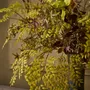 Floral decoration - Lifelike artificial autumn leaves - SILK-KA