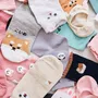 Socks - Korean socks - JOLI POOM
