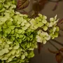 Floral decoration - Majestic artificial Hydrangeas - SILK-KA