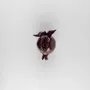 Decorative objects - POMEGRANATE - MOSCHE BIANCHE