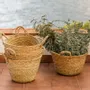 Decorative objects - Handwoven Moroccan baskets – Available in multiple sizes - COSYDAR-DECO
